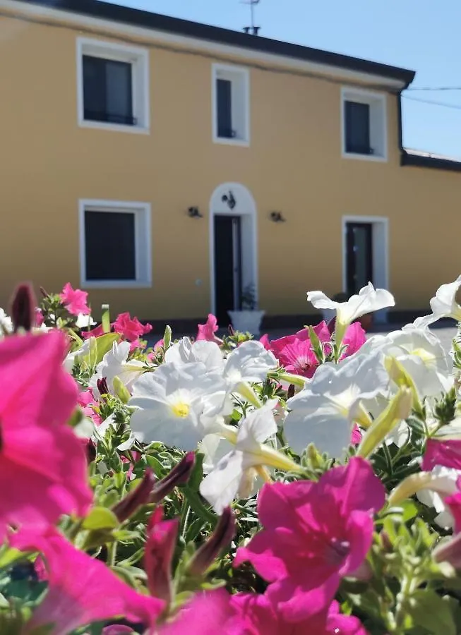 B&B Riva Del Gallo Tresigallo